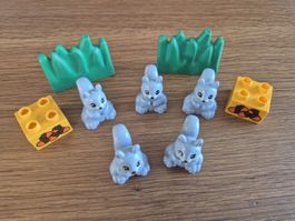 Duplo Eichhörnchen Set (Y386)