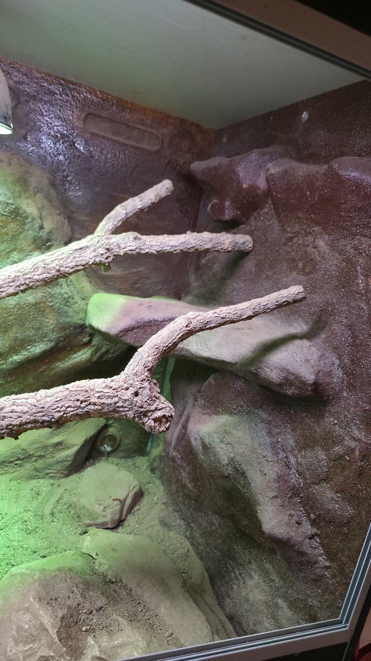 Terrariums: Terrarium – D'occasion à Walkringen par mar_gm5h 3