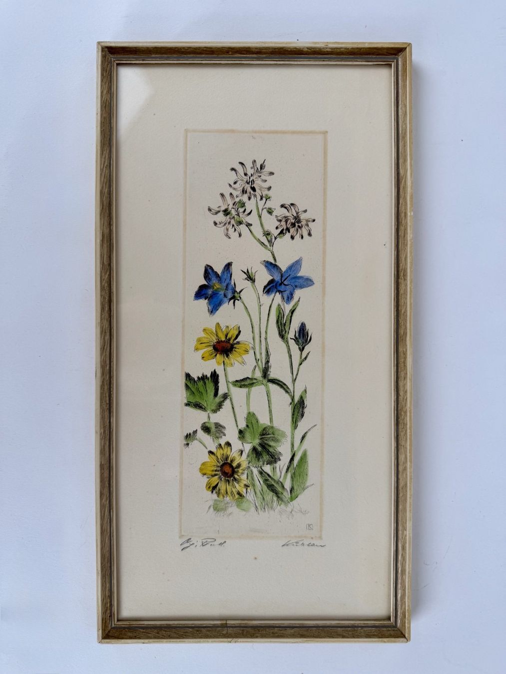Dipinti: Blumen Zeichnung 1967 – Usato da Urtenen-Schönbühl venduto da Restwert_Schoenbuehl