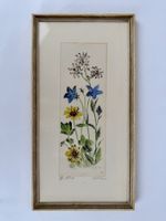 Blumen Zeichnung 1967