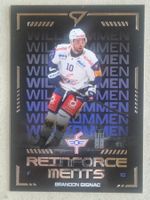 Sportzoo  Reinforcements   Gignac    Kloten