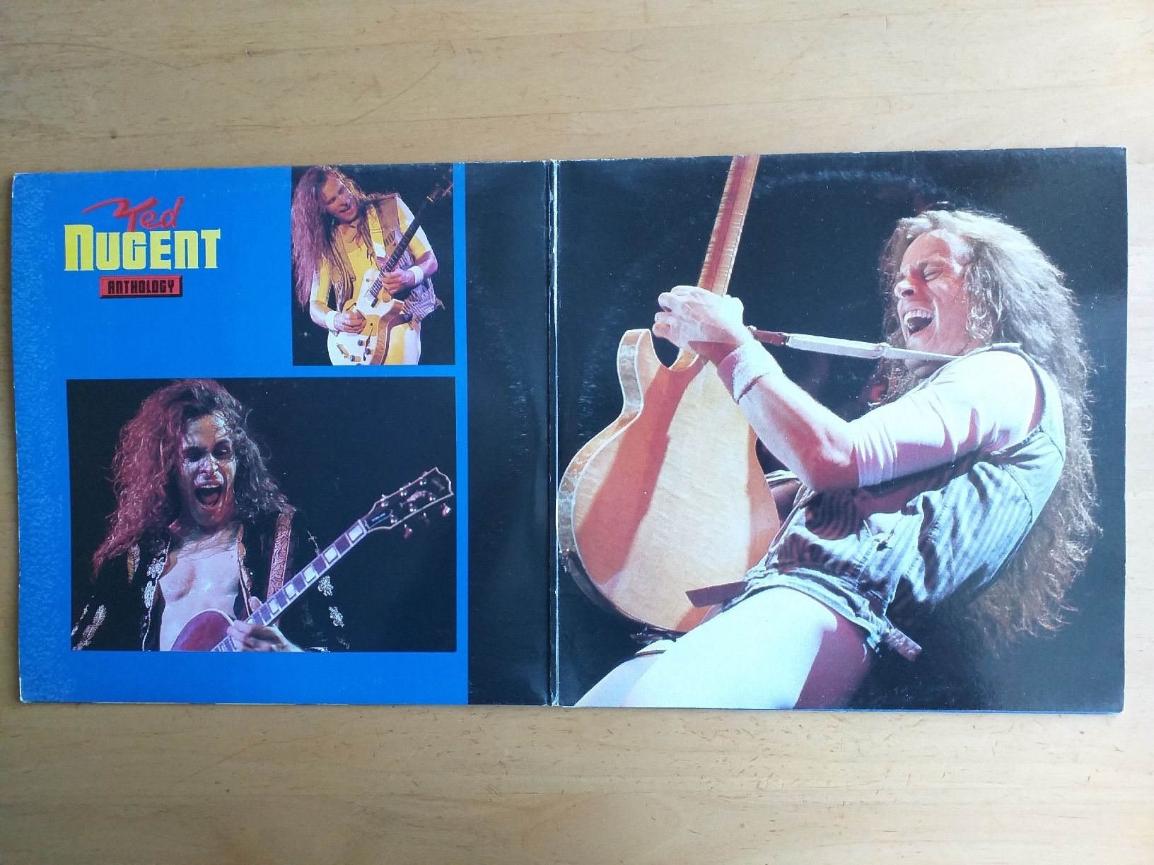Dischi in vinile: Ted Nugent "Anthology" – Usato da Zürich venduto da markus234 2