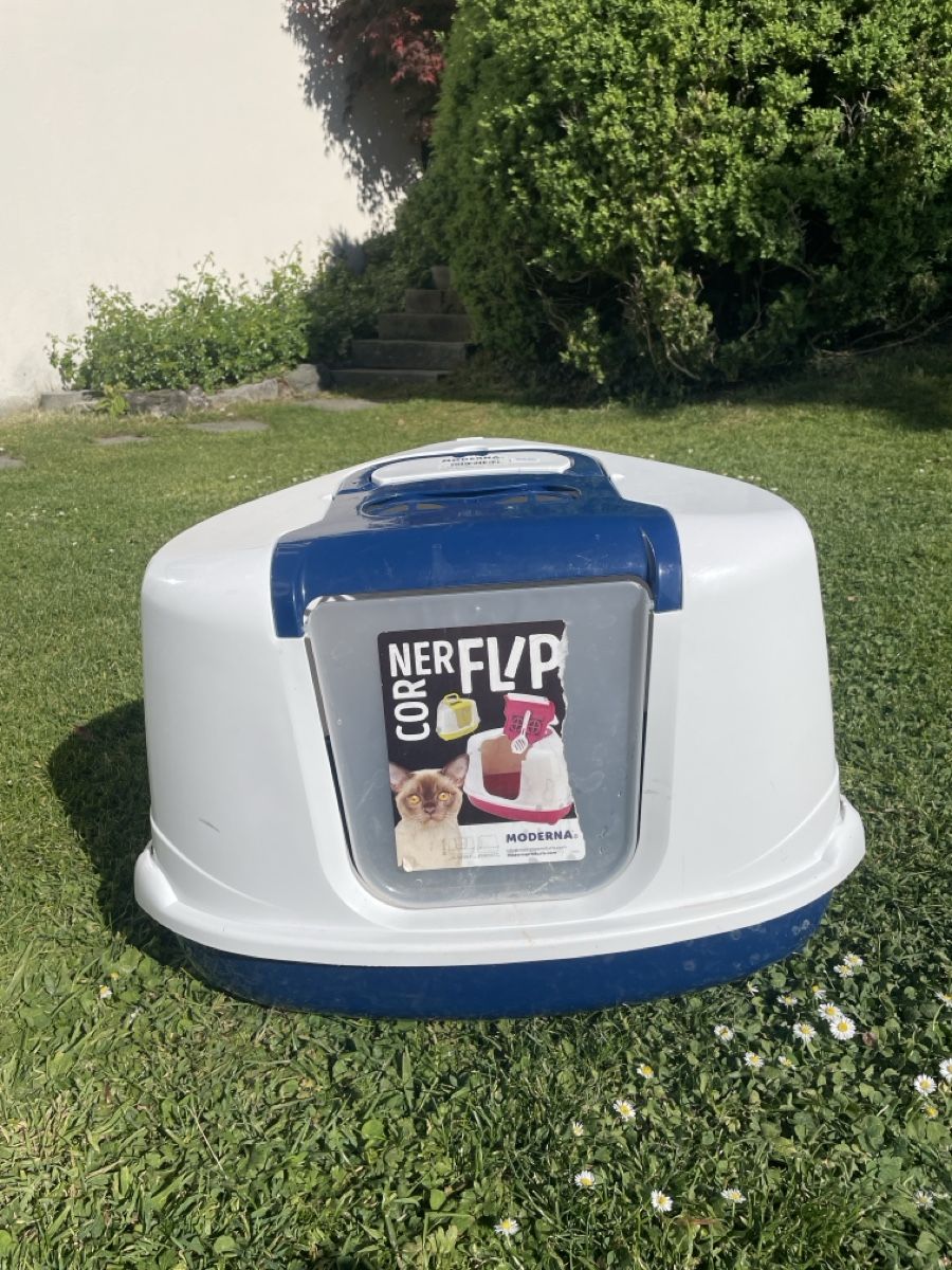 Sandkasten: Cat litter box – Gebraucht aus Erlenbach ZH von van_st5g