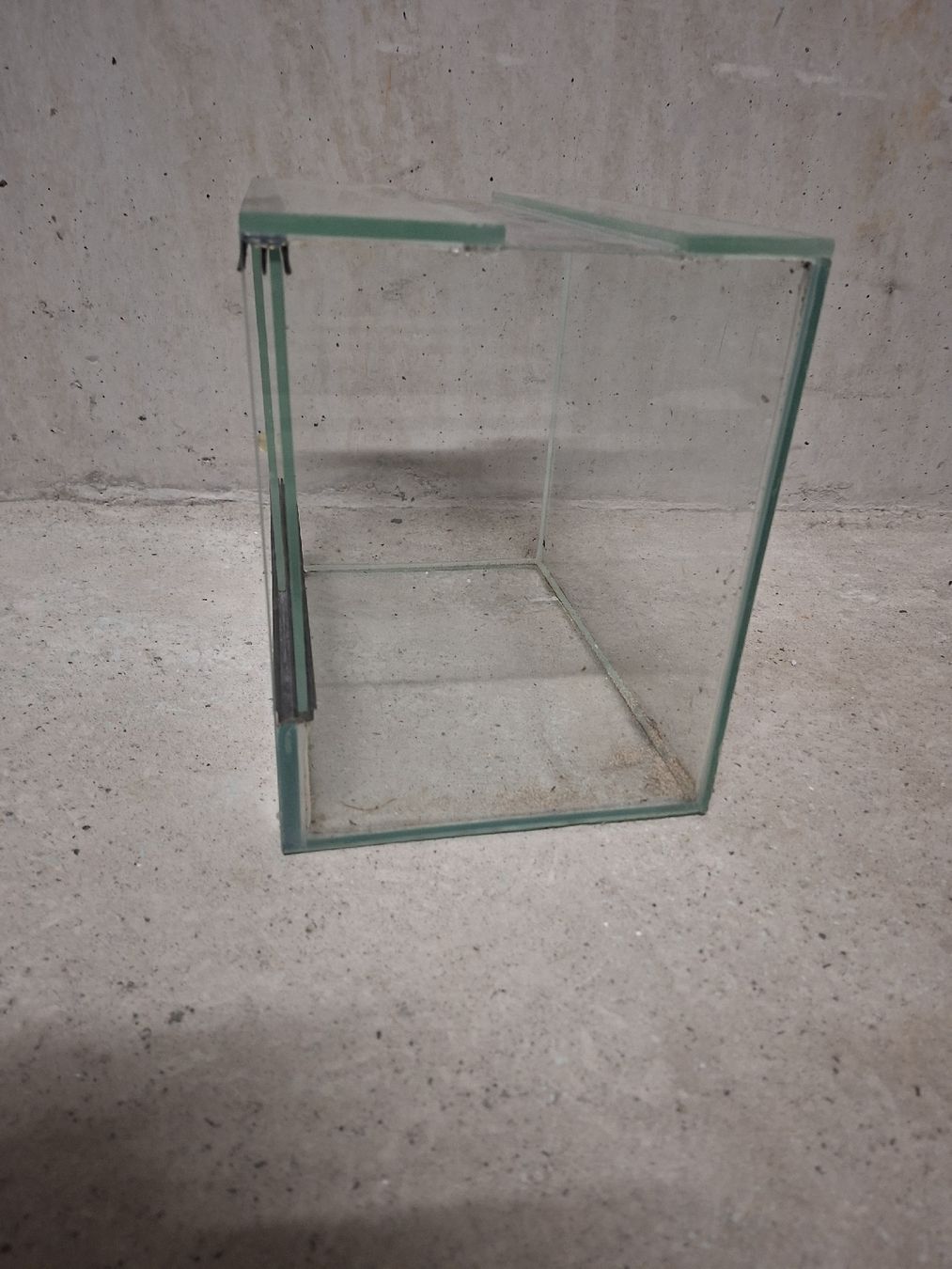 Terrario: Kleines Glasterrarium  günstig! – Usato da Luzern venduto da cot_5mrd 2