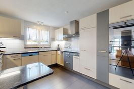 Moderne Küche mit Steinabdeckung (Selbstabholung)