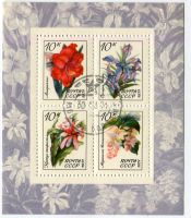Block "Blumen". UdSSR