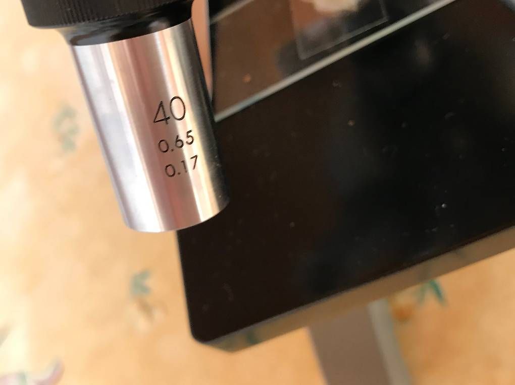 Microscopi: Microscope Olympus 1964 avec sa boîte en bois – Usato da Estavayer-le-Lac venduto da mar_2s6b 7