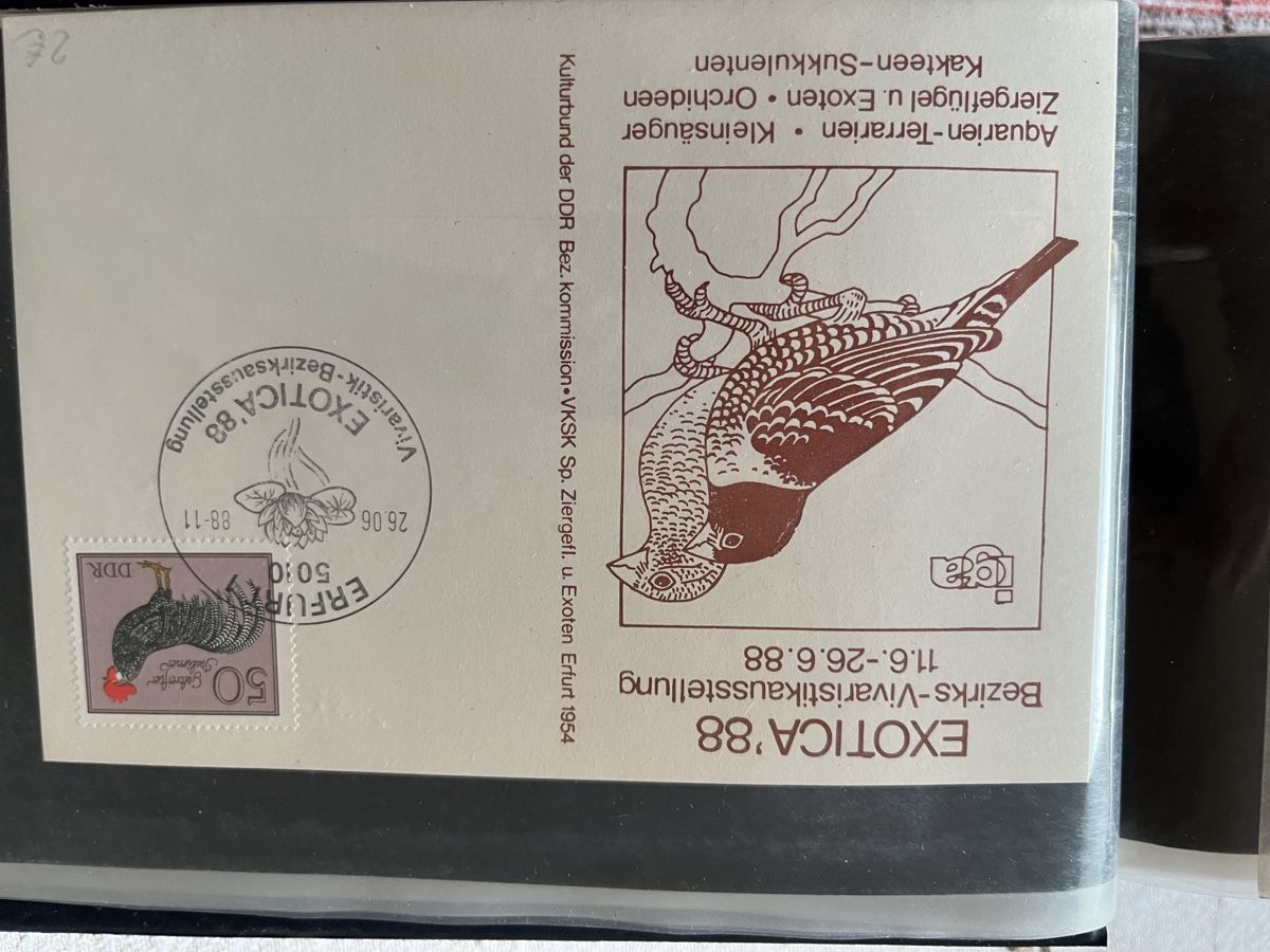 Tutti i francobolli: Briefe mit Briefmarken – Usato da Neuenhof venduto da Himmel2 7