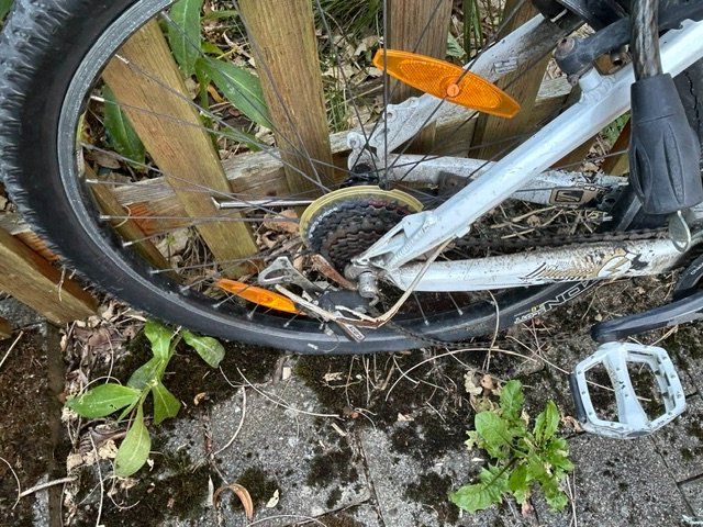 Scott Biciclette: Jugendfahrrad Scott – Difettoso da Schmitten FR venduto da Ogeli 3