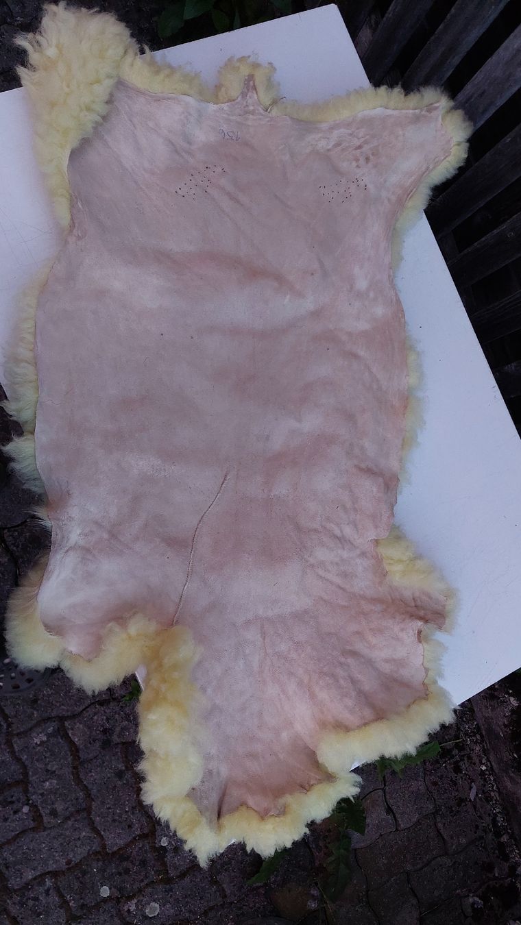 Coperte: Lammfell Bündner Oberländer Schaf  – Nuovo (secondo la descrizione) da Berschis venduto da ron_z68v 1