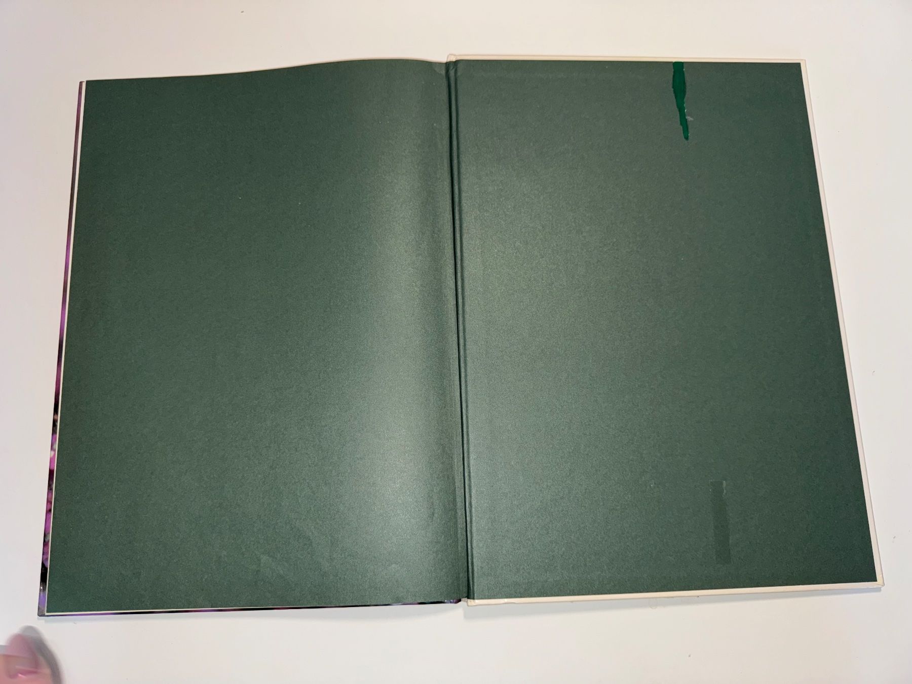 Libri: BUCH: Katzenkinder – Usato da Grosswangen venduto da Second_hand_paradise 7