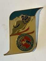 1 Pin Skiverband Berner Oberland BOSV