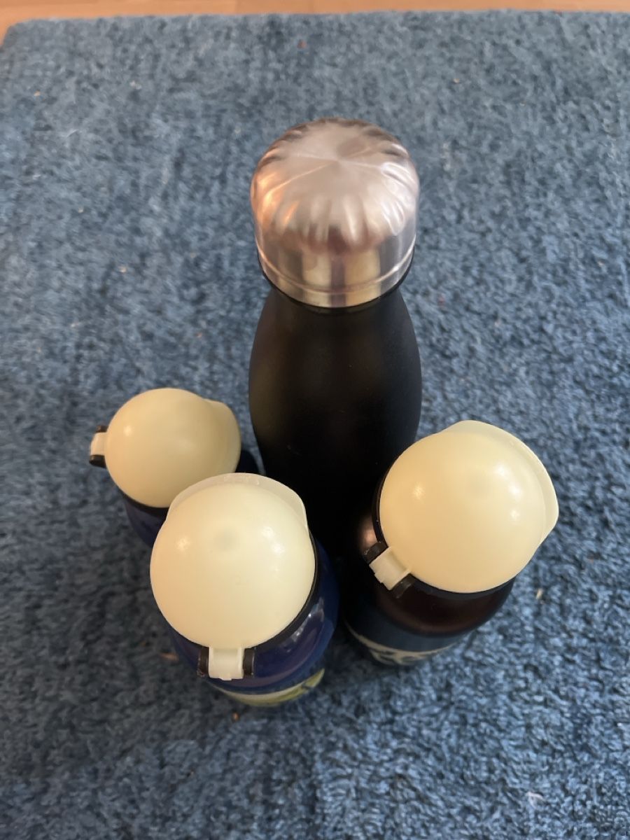 Sigg Borracce & Thermos: Metall Trinkflaschen Set 4 Stk. – Usato da Aarau venduto da SCH_EV 2
