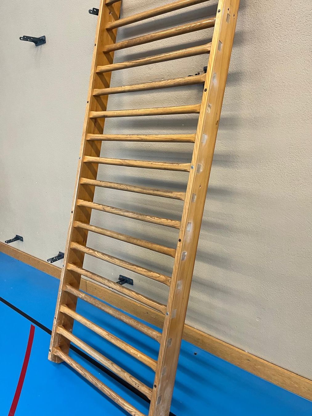 Pareti & prese d'arrampicata: Sprossenwand Leicht #1 – Usato da Winterthur venduto da ReUse_Baumarkt 1