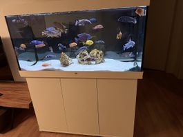 Juwel Rio 350 Aquarium zu verkaufen