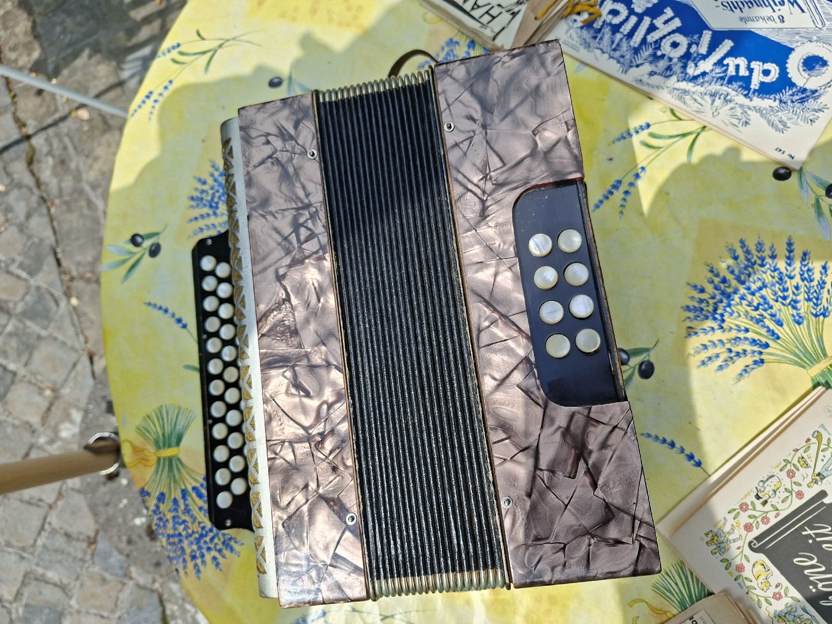 Hohner Strumenti musicali: Hohner Handorgel mit Noten und Tasche – Difettoso da Gasel venduto da cher01 4