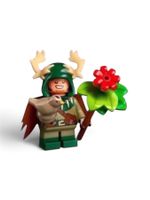 71047 Halfling Druid Dungeons & Dragons LEGO (NEU)