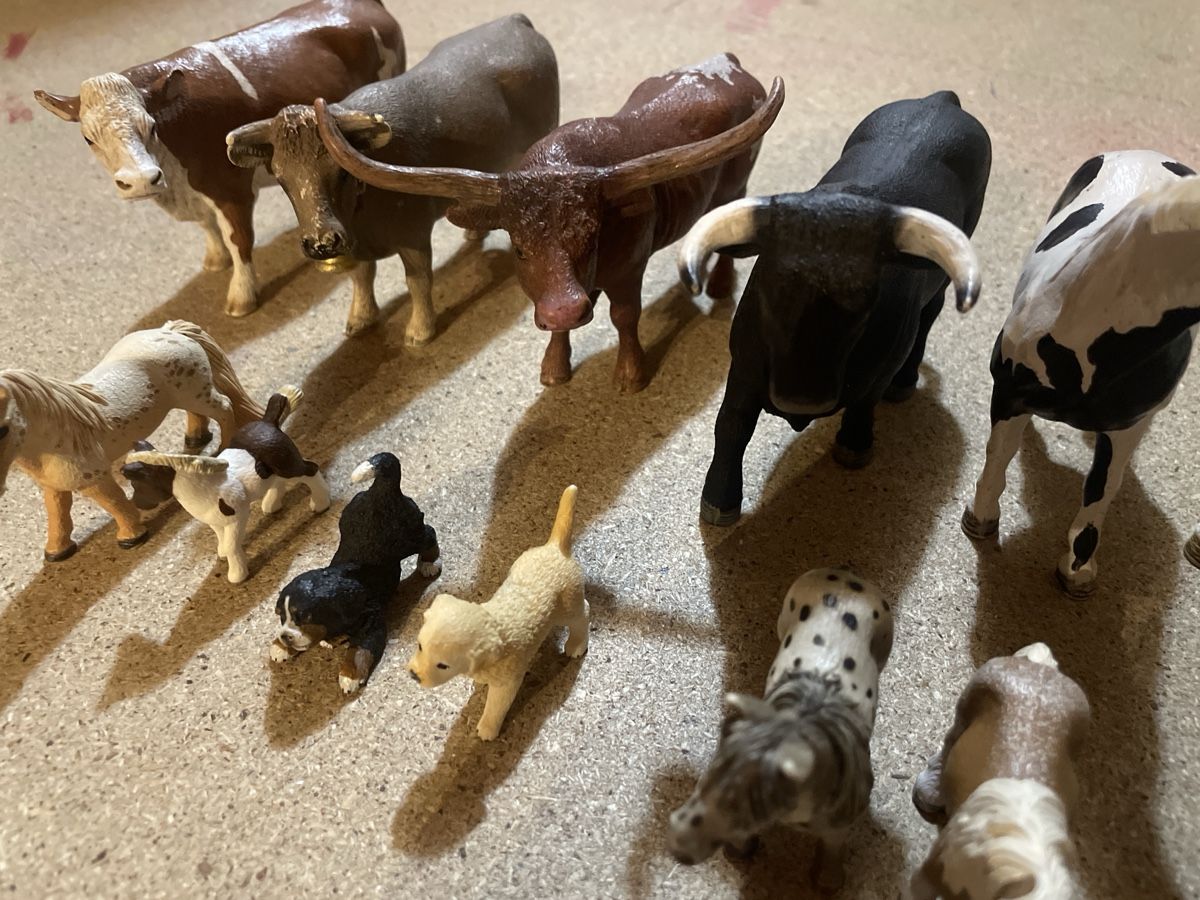 Schleich Spielzeuge: Schleichtier Set  – Gebraucht aus Niederhasli von nic_65cm 1