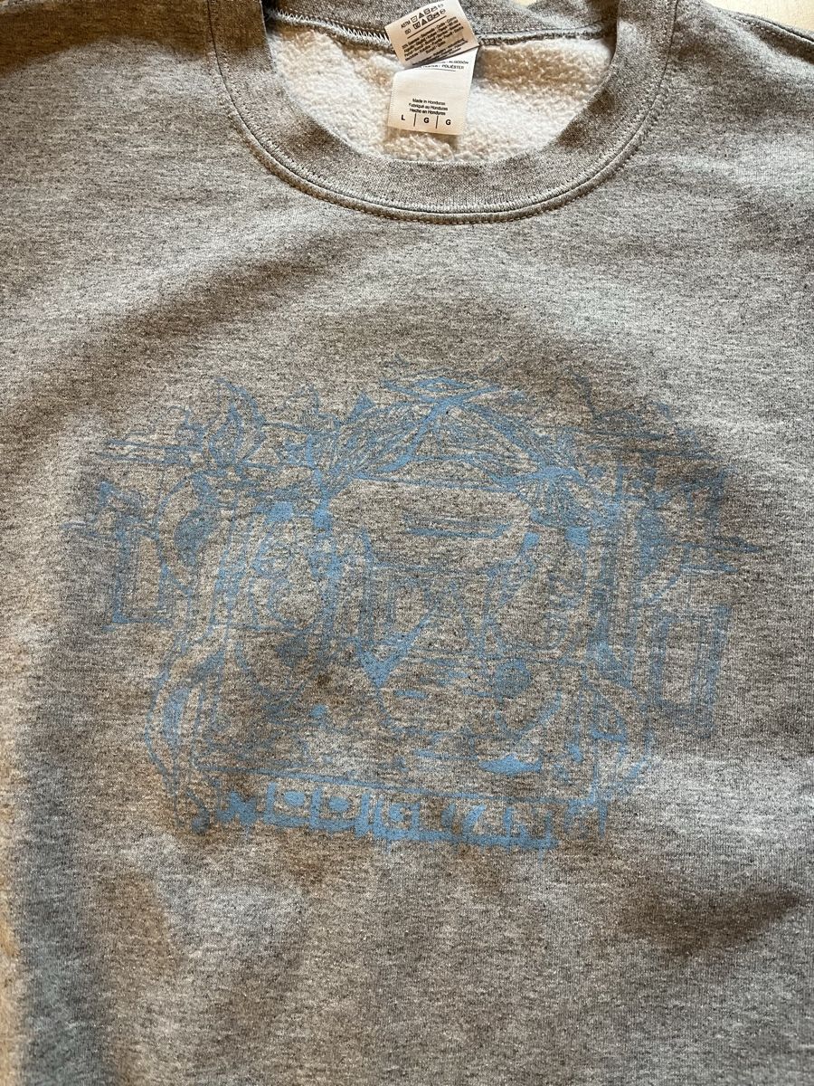 Pullover & Sweatshirts: Hoodie mit Print – Gebraucht aus Zürich von cat_rsn7 1