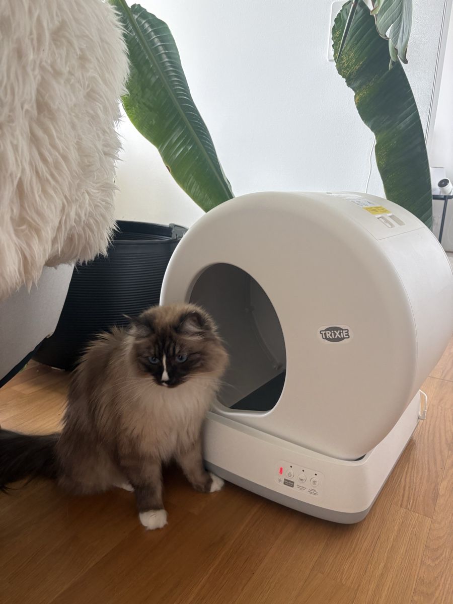 Trixie WC: Trixie Self Cleaning Cat Litter Box – Nuovo (secondo la descrizione) da Basel venduto da val_rvm7 6