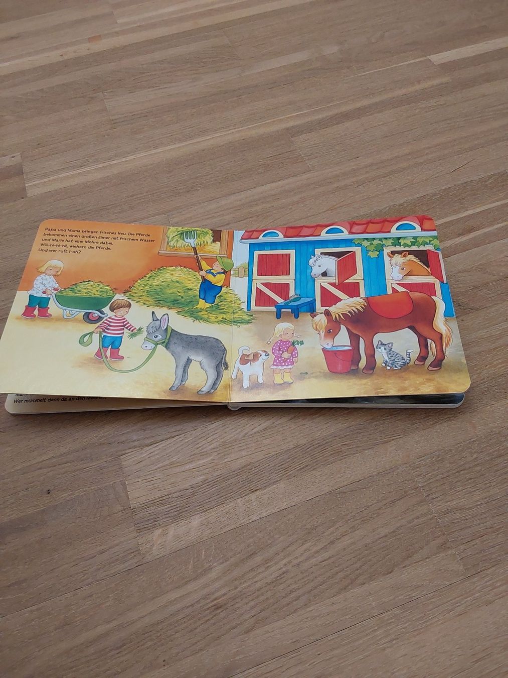 Bücher: Kinder Bücher – Gebraucht aus Wallisellen von Wallisellen77 6
