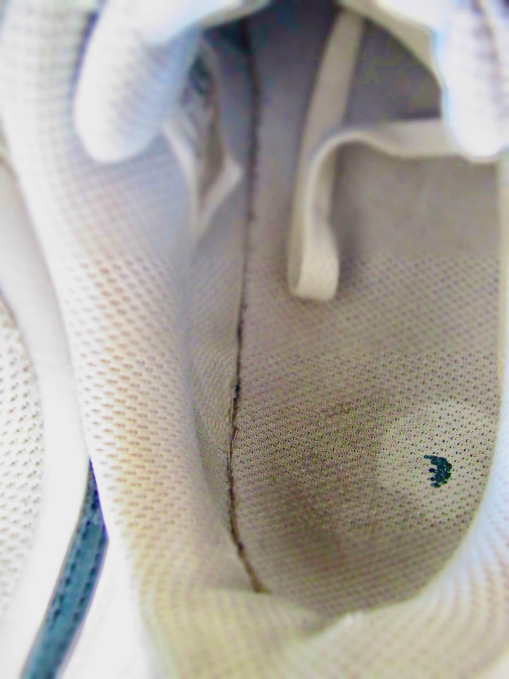 Nike Scarpe da uomo: SNEAKER NIKE 40  N' 17 – Usato da Murten venduto da Selliot 5