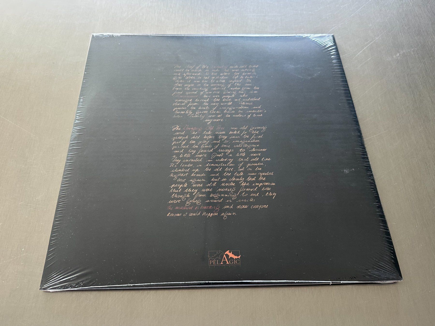 Vinyles: BRUIT LP THE MACHINE IS BURNING AND NOW EVERYONE KNOWS ... – Neuf avec emballage d'origine à Sion par jaipur1401 2