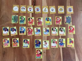 Panini FIFA World Cup 2026 – 33 Sticker inkl. 8 Gold-Sticker