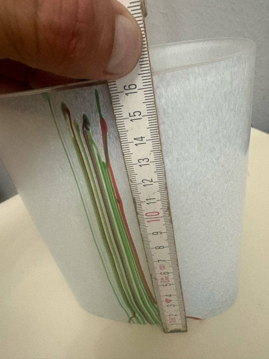 Vasi & Recipienti: Jolie vase design  – Usato da petit lancy venduto da FerreiraLuis 6