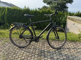Kalkhoff Agattu L 55cm - Herren Citybike