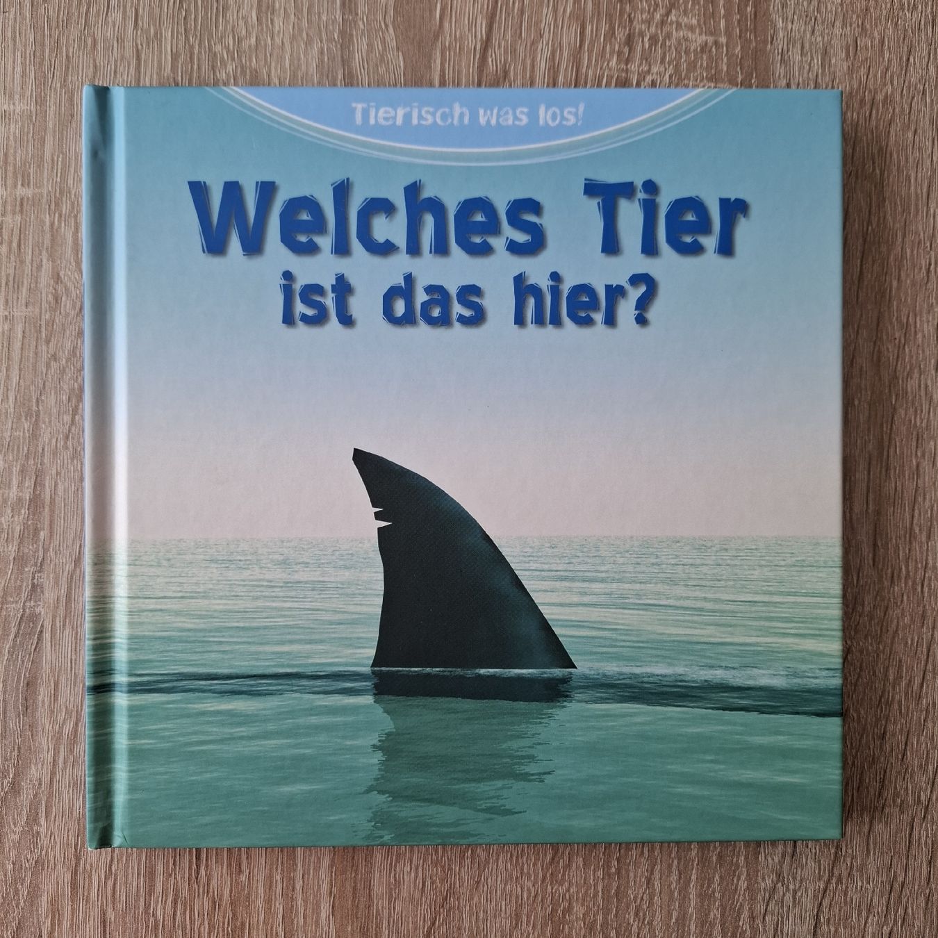 Libri: 6 Kinderbücher "Welches Tier..." – Nuovo (secondo la descrizione) da Hägglingen venduto da Pilipadin 1