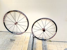 Acros Rennrad-Laufradsatz – Made in Germany