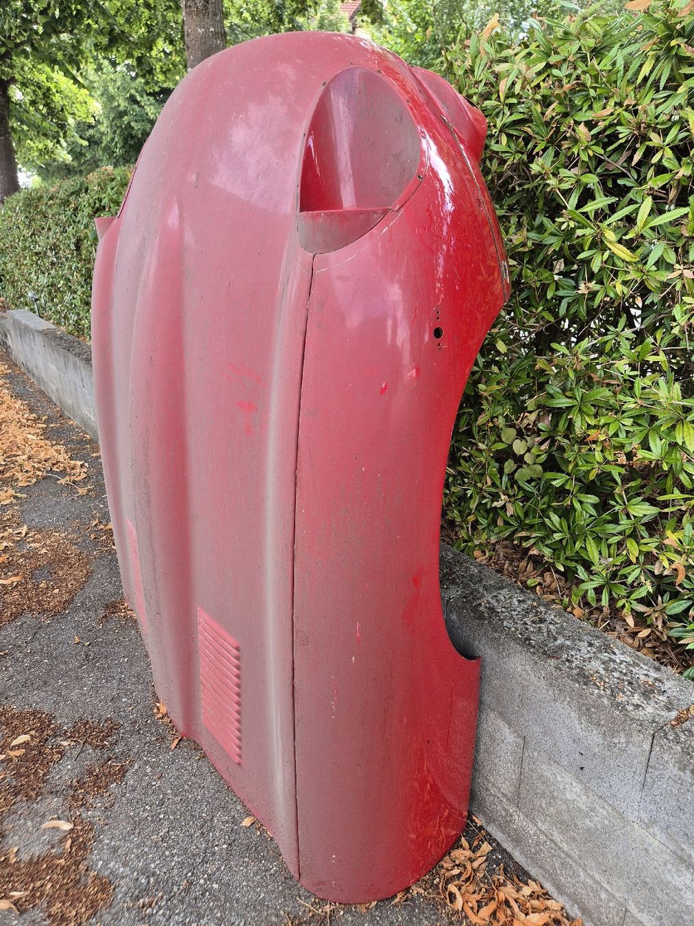 Jaguar Tutti pezzi di ricambio auto: Jaguar E Type Motorhaube für Deko oder zum herrichten. – Difettoso da Wangen b. Olten venduto da madmax05 1