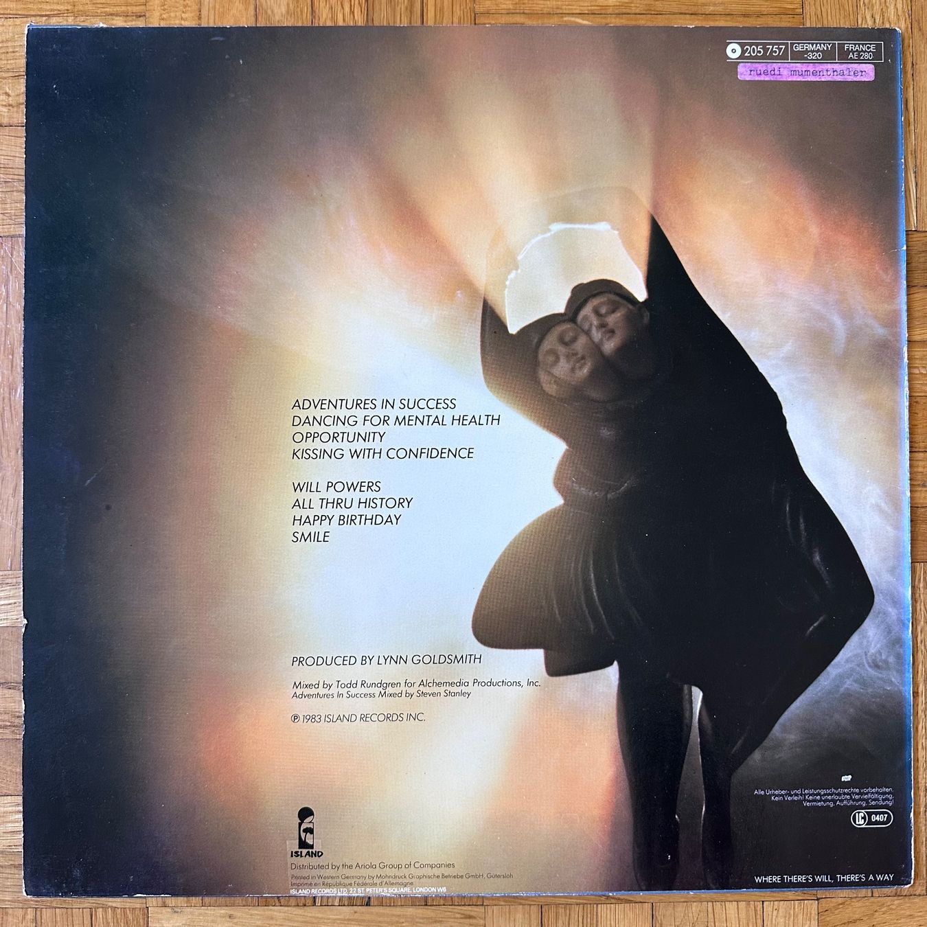 Dischi in vinile: LP - Will Powers - Dancing For Mental Health – Usato da Breganzona venduto da Onairda75 1