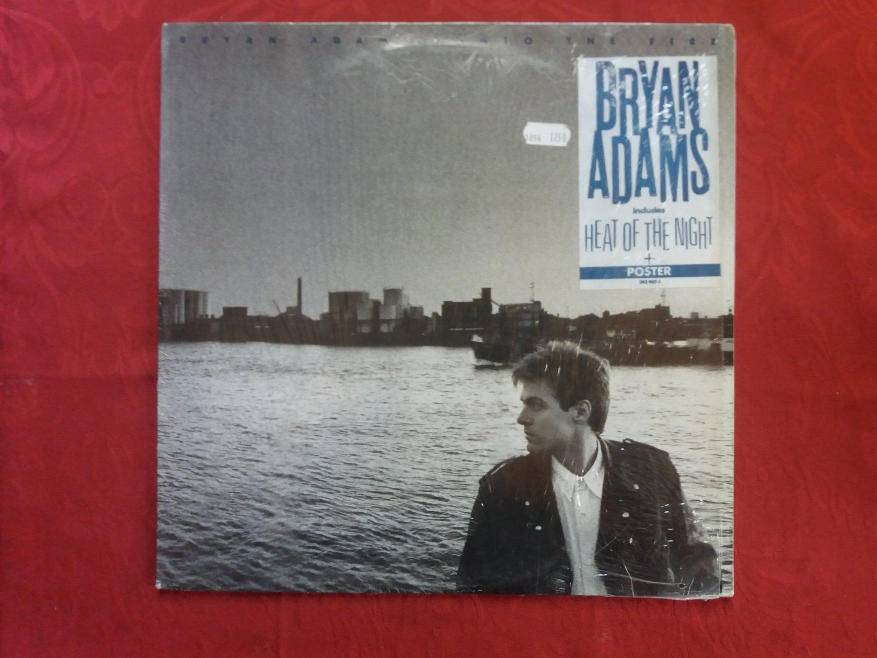 Dischi in vinile: LP (Bryan Adams) Into The Fire – Usato da Meyrin venduto da toutatis