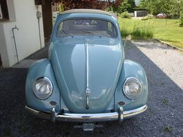 VW Käfer Ovali