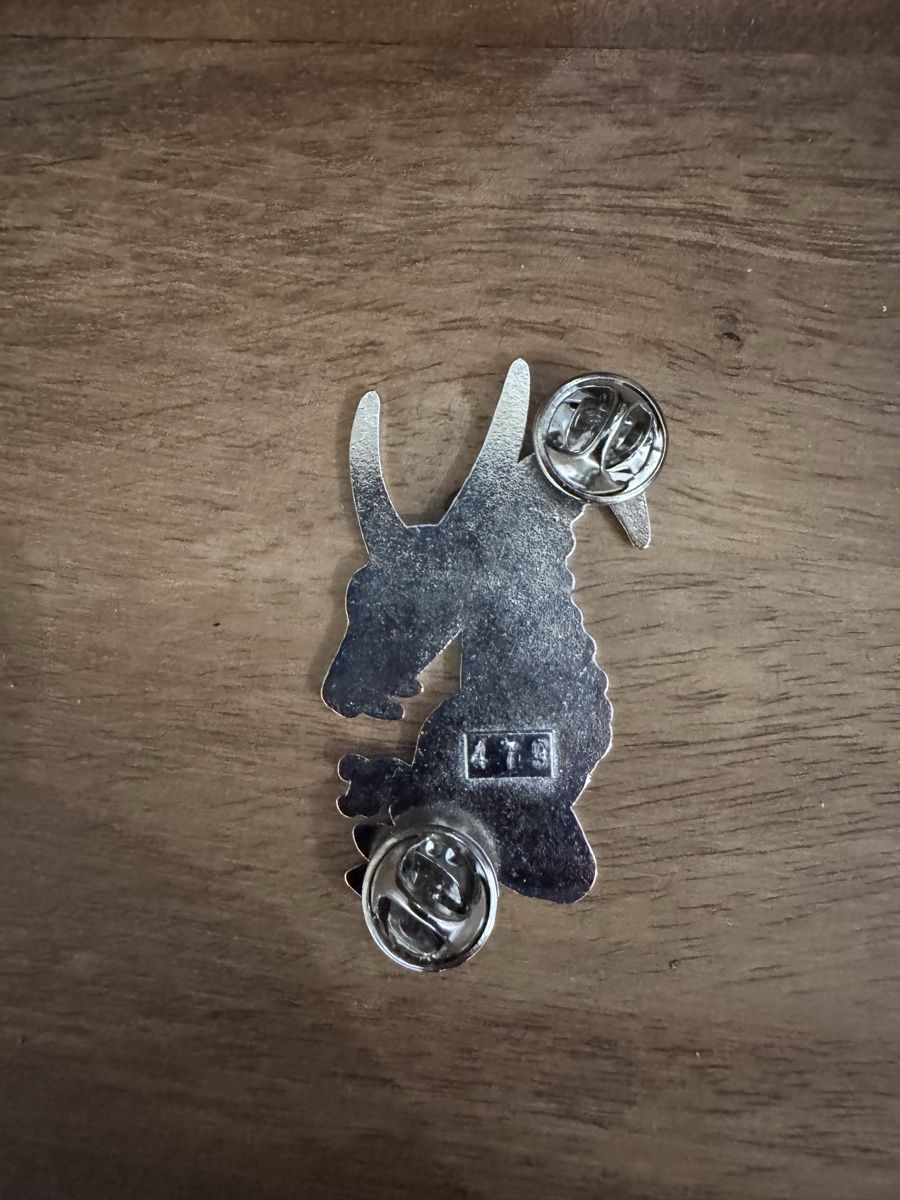 Broches & Aiguilles: Drachen Pin / PIN – Neuf (Voir description) à Bäretswil par clothes-freak 1