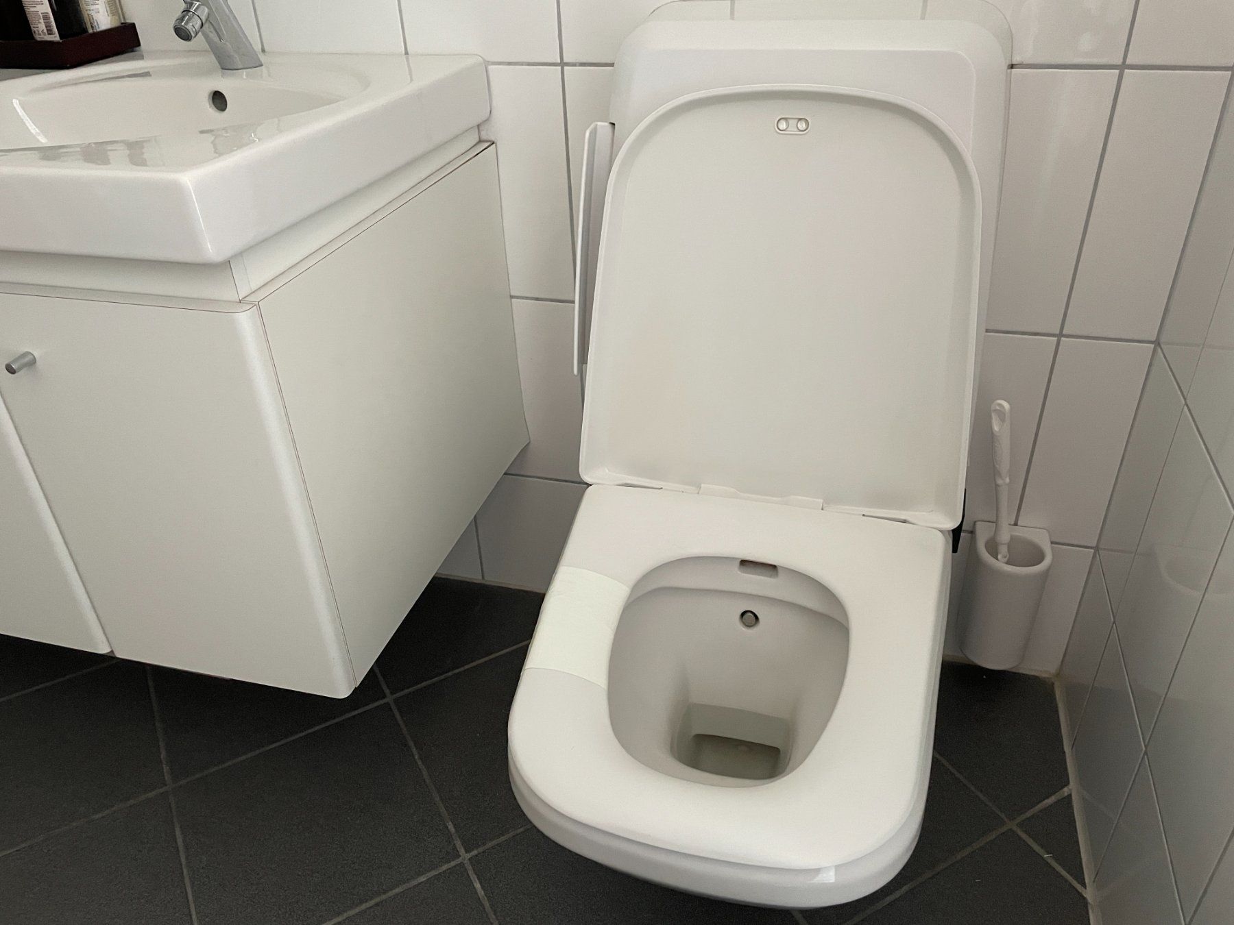 Eviers & lavabos: Doppellavabo + Spiegelschrank + Dusch-WC – D'occasion à Ebnat-Kappel par rf1264 1