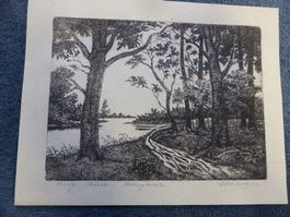 Hallwiler-See,Orig.Radierung,Künstl.Hediger,Aargau