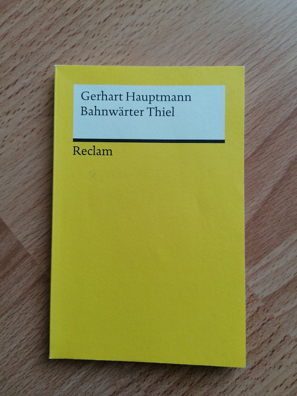 Libri: Bahnwärter Thiel Gerhart Hauptmann – Usato da Uster venduto da scott_2025