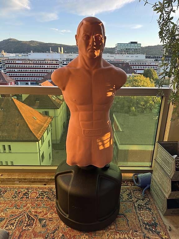 Sacchi da boxe: Standboxsack / Box Dummy – Usato da Zürich venduto da car_khq9 4