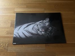 Cartable tigre blanc 