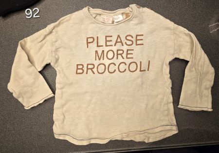 Langarmshirt Zara Babygirl beige Gr 92 gebraucht