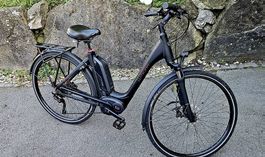 City E Bike Winora Tria 10
