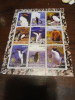 Timbre Congo - Manchot empereur - Série complète 2002