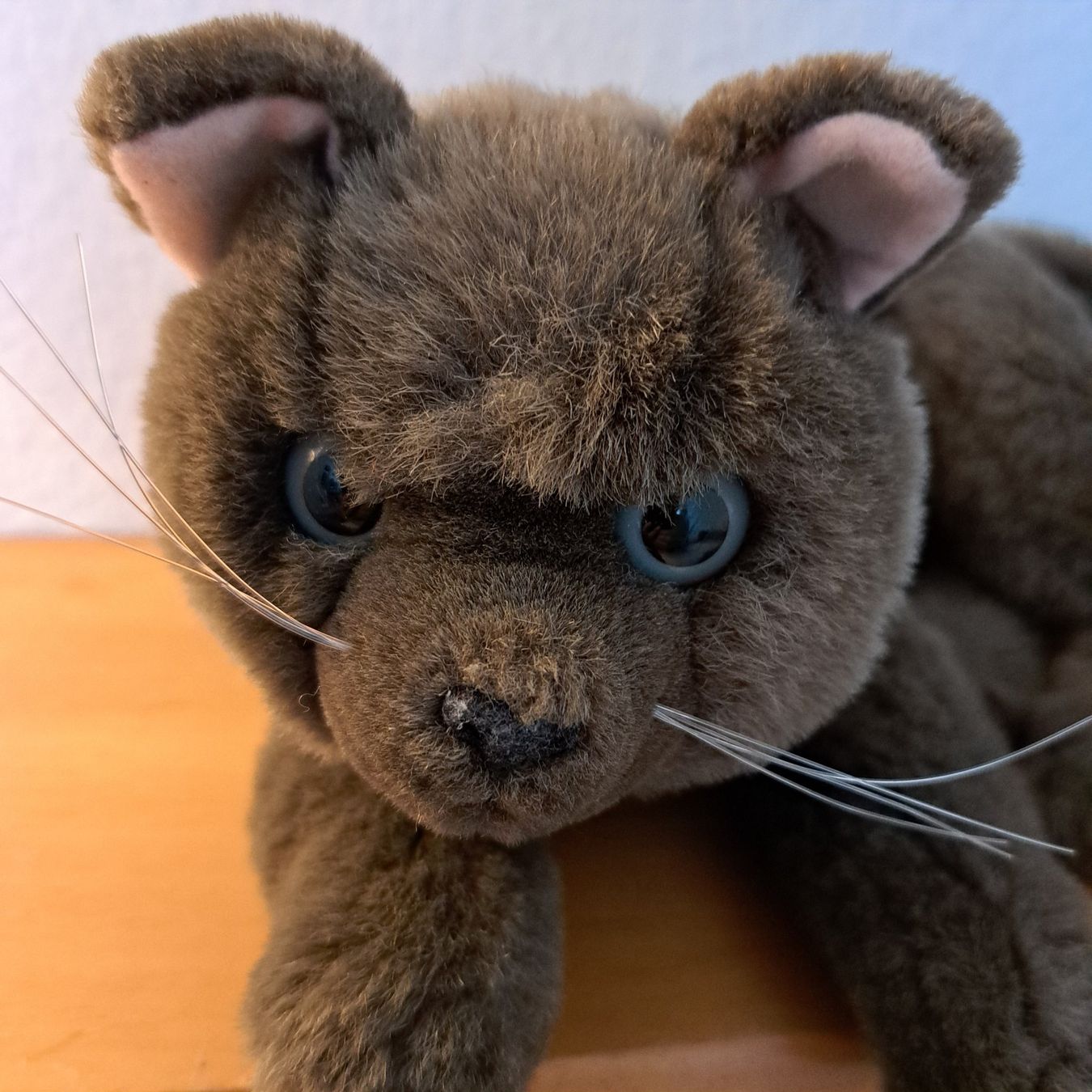 Giocattoli: Liegende Plüschkatze – Usato da Grüningen venduto da Tappio 1