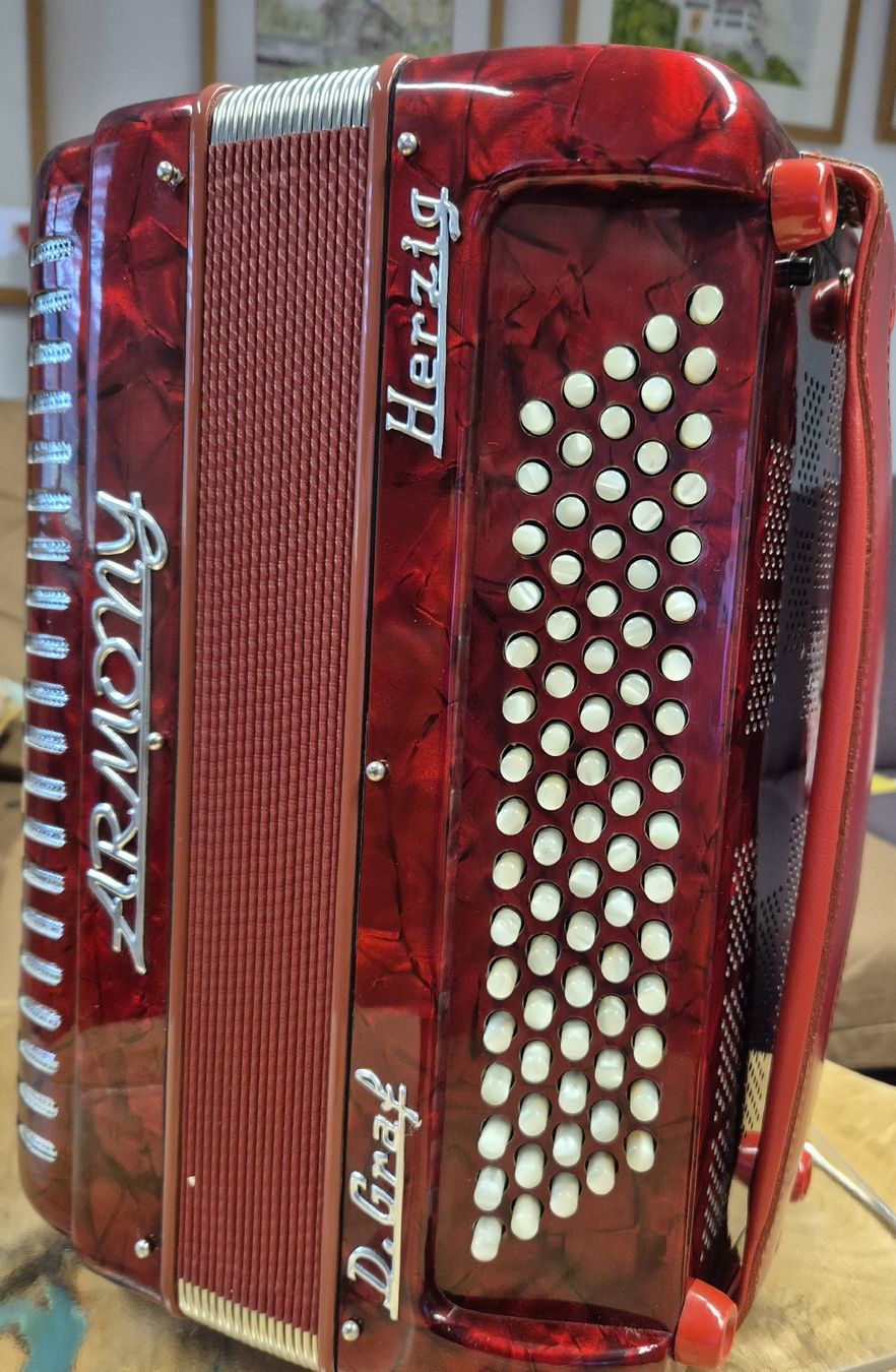 Strumenti musicali: Handorgel Herzig Armony – Usato da Zweisimmen venduto da Kleindietwil 2