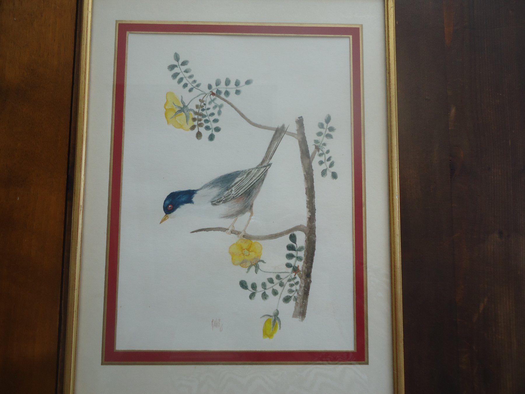 Gemälde: Dessins d'oiseaux encadrés - 2 pièces - 1965 – Gebraucht aus Vessy von mafabe 2
