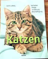 Katzen  Verhalten Pflege Ernährung