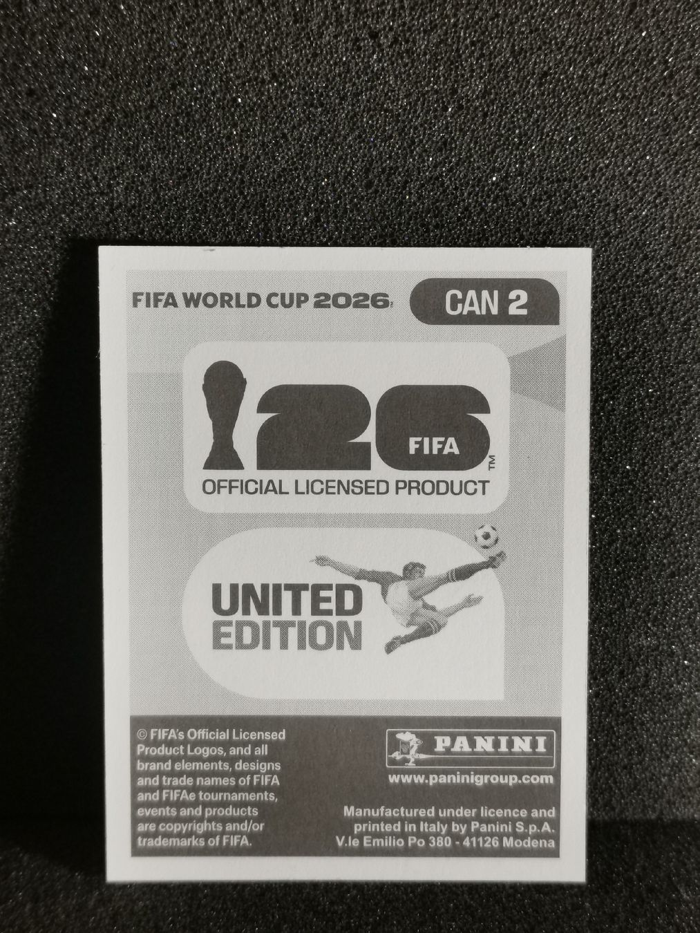 Panini Carte collezionabili: Panini Wm 2026 Sticker : Dayne St. Clair Can 2 – Usato da Einsiedeln venduto da sza_588x 1